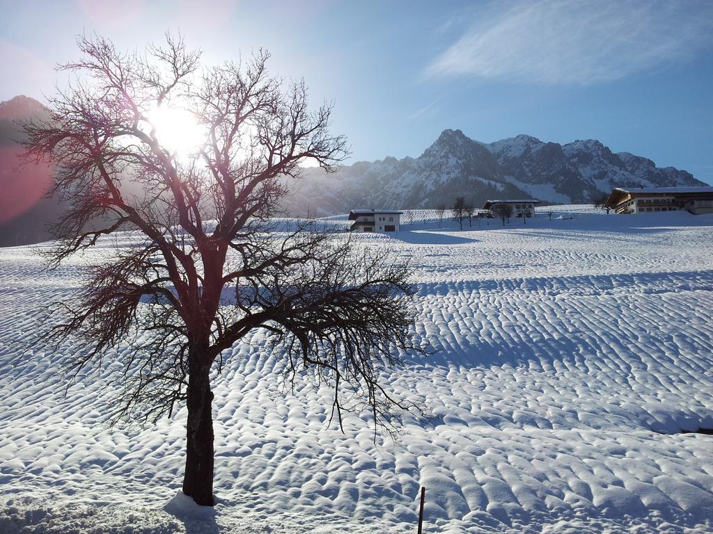 Chalet Glockenhof วัลช์ซี ภายนอก รูปภาพ