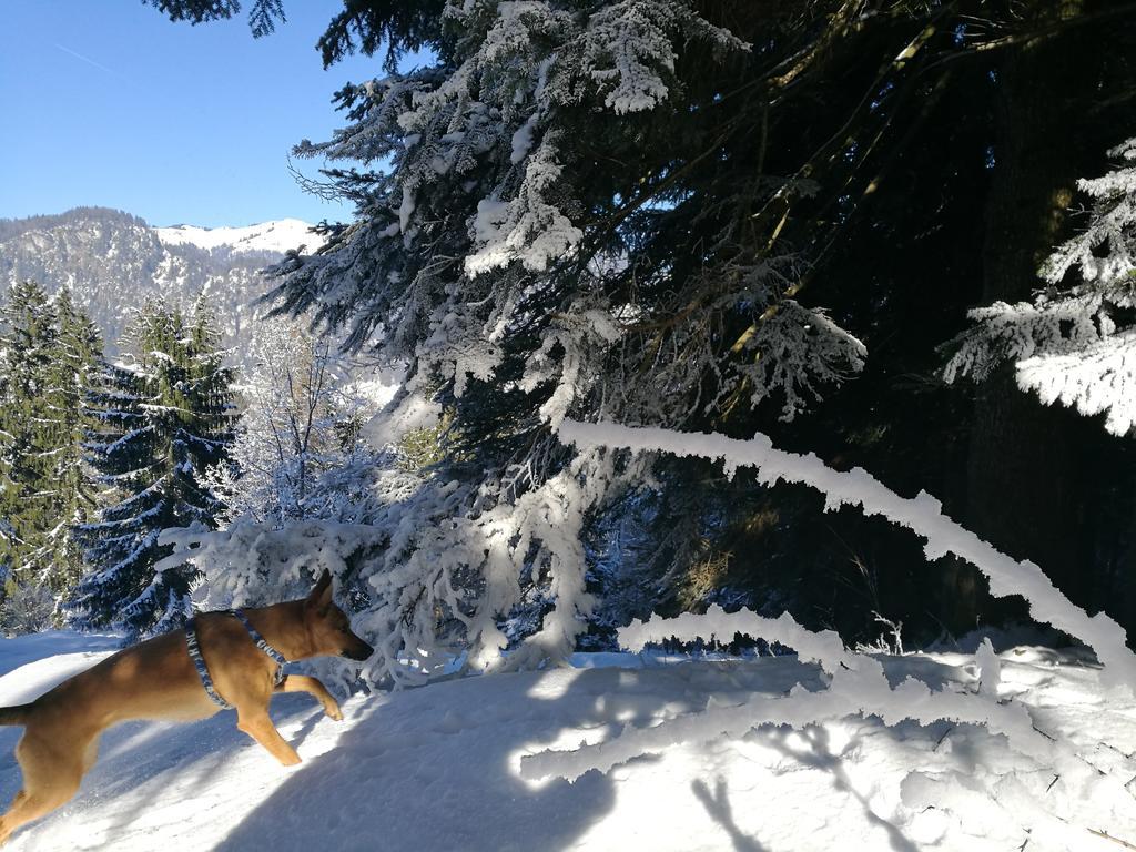 Chalet Glockenhof วัลช์ซี ภายนอก รูปภาพ